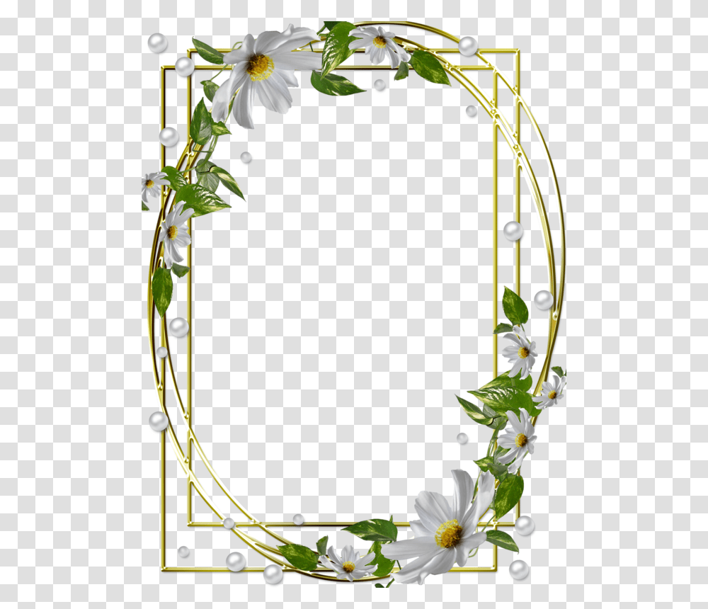 Design, Plant, Flower, Blossom, Rose Transparent Png