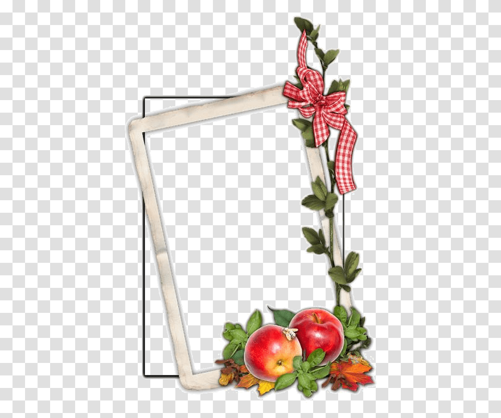 Design, Plant, Flower, Blossom, Rose Transparent Png