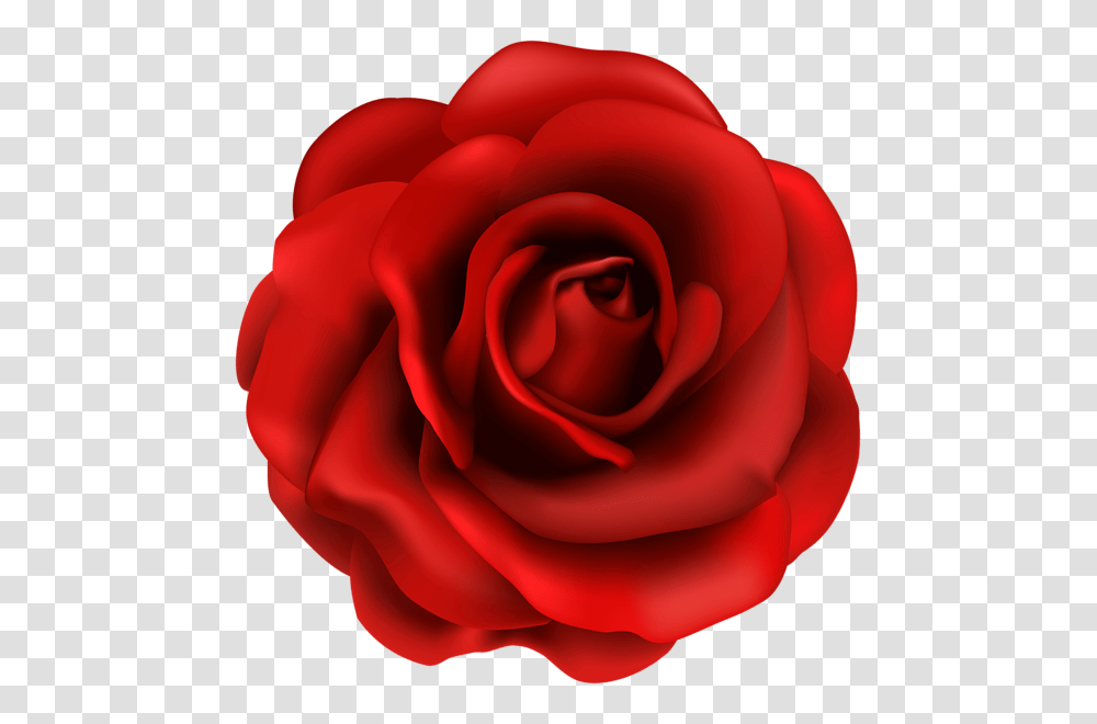 Design Red Roses Red Rose, Flower, Plant, Blossom Transparent Png