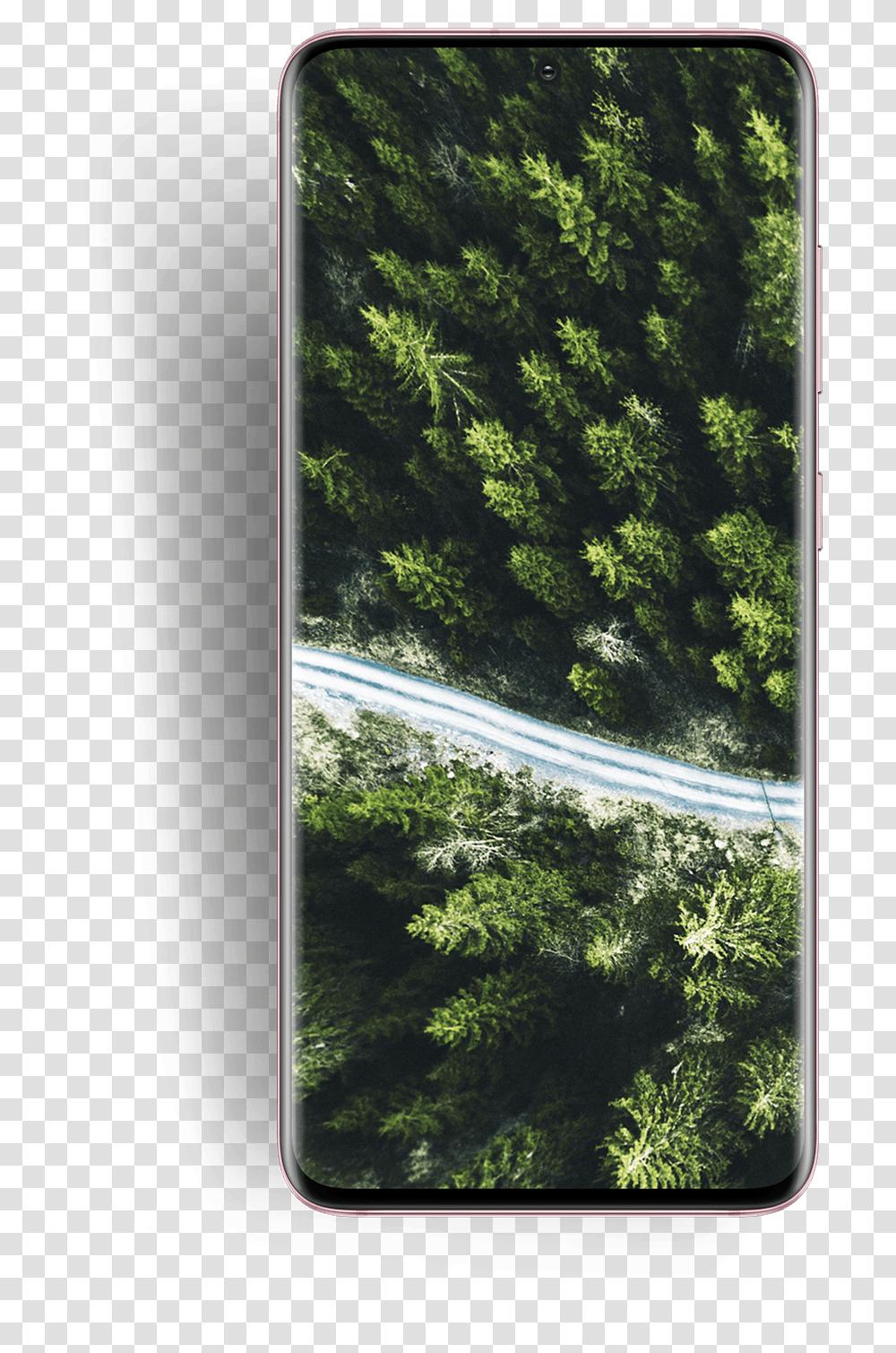 Design Samsung Galaxy S20 & Ultra The Official Samsung Galaxy S20, Bush, Vegetation, Plant, Road Transparent Png