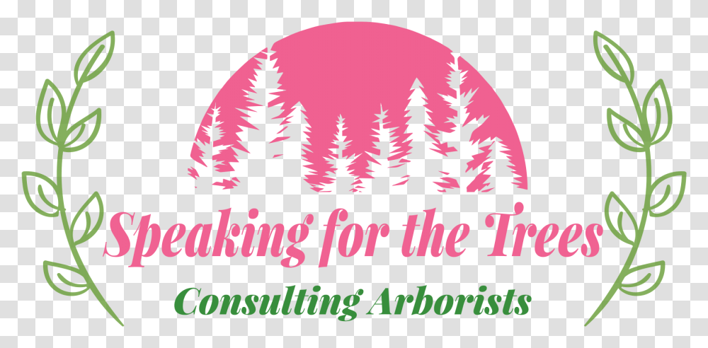 Design Tree Consultants Careers Karice My Lashes, Plant, Text, Conifer, Fir Transparent Png