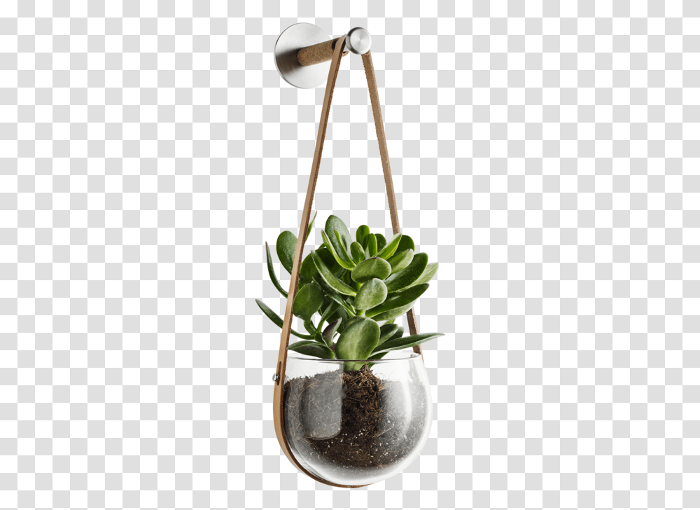 Design With Light Hanging Pot And Peg By Holmegaard Interior Plant, Leaf, Flower, Vase, Jar Transparent Png