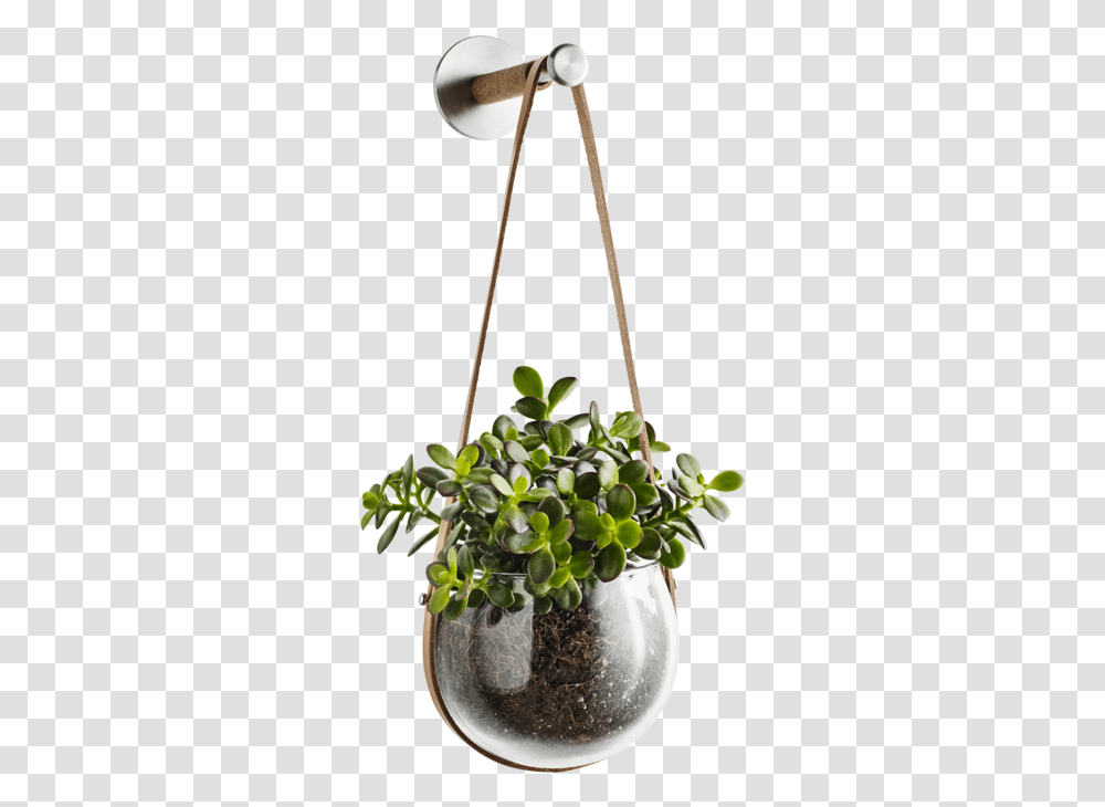 Design With Light Hanging Pot And Peg By Holmegaardquot Flower In A Flower Pot, Plant, Potted Plant, Vase, Jar Transparent Png