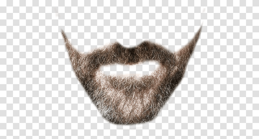 Designer Beard Background Beard Background, Face Transparent Png