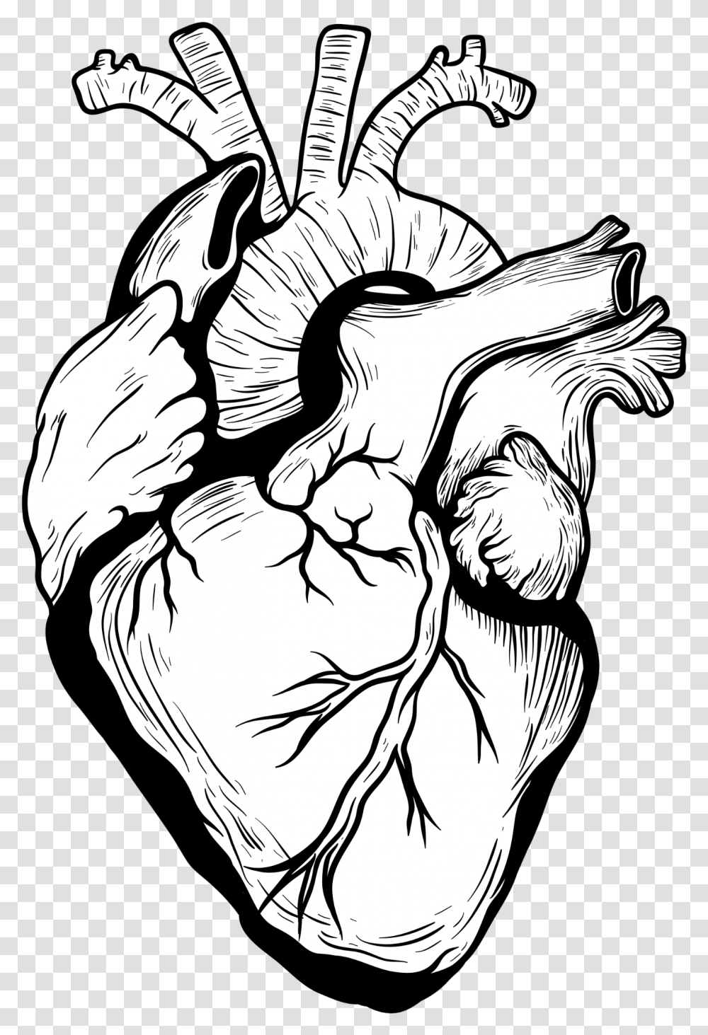 Designer Drawing Heart Clipart Free Black And White Heart Organ, Hand, Plant, Sketch, Fist Transparent Png