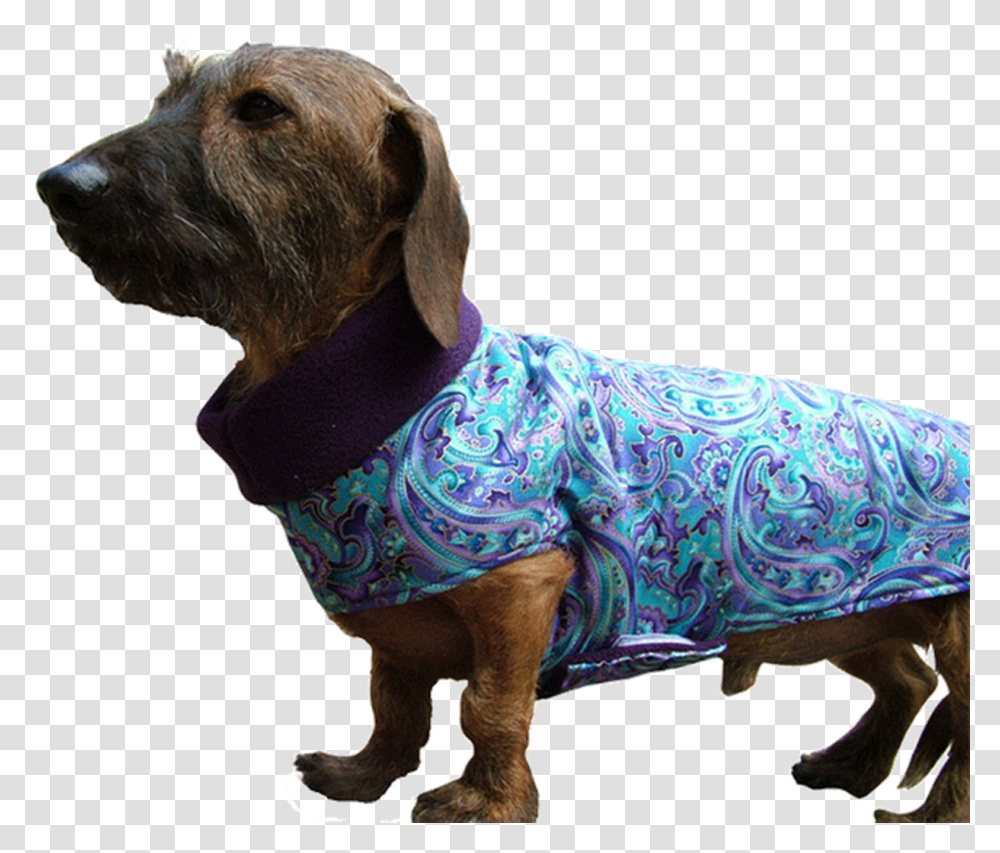 Designer Fabric Cuddler Dog Coat Alpine Dachsbracke, Pet, Canine, Animal, Mammal Transparent Png