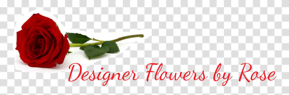 Designer Flowers By Rose Garden Roses, Plant, Food, Alphabet Transparent Png