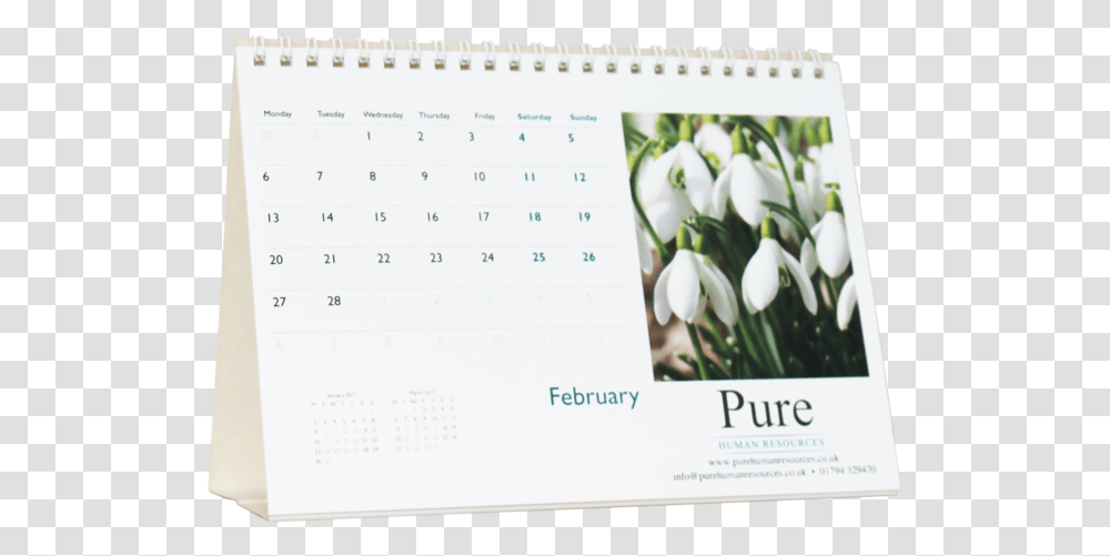Desk Cal, Calendar, Page, Plant Transparent Png