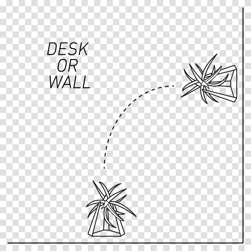 Desk Plant Illustration, Nature, Outdoors, Night, Fireworks Transparent Png