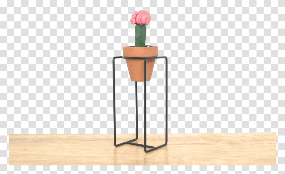 Desk Planter Small Download End Table, Lamp, Flower, Blossom, Tabletop Transparent Png