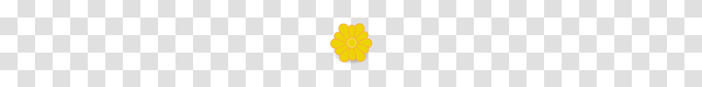 Desktop Icons, Plant, Flower, Blossom, Daisy Transparent Png