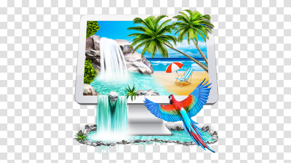 Desktop Vertical, Bird, Animal, Tropical, Macaw Transparent Png