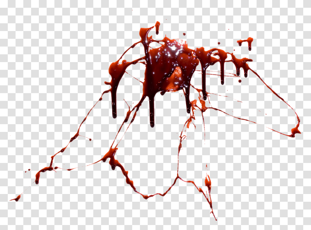 Desktop Wallpaper Blood Computer Icons Bloody Bullet Hole, Ant, Insect, Invertebrate, Animal Transparent Png