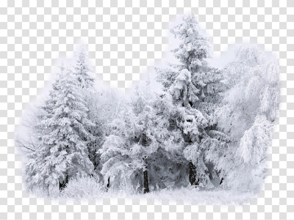 Desktop Wallpaper Snow Winter Drawing Snow Deposition Phase Change, Nature, Outdoors, Ice, Tree Transparent Png