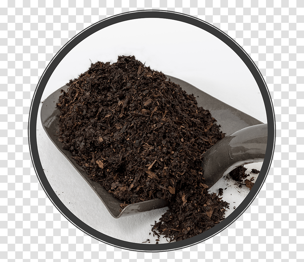 Dessert, Soil, Plant, Tobacco, Moss Transparent Png