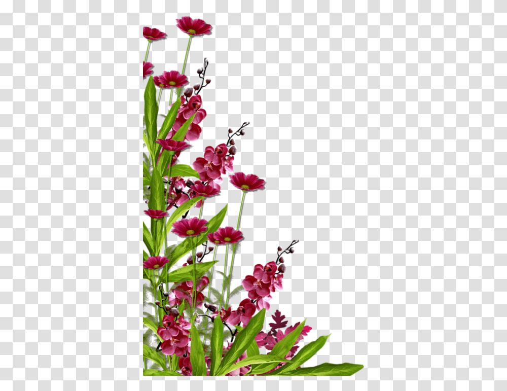 Dessin Bordure De Fleurs, Plant, Flower, Blossom, Flower Arrangement Transparent Png