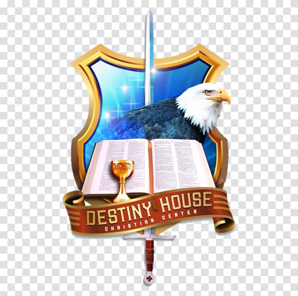 Destiny House Christian Center Bald Eagle, Bird, Animal, Beak, Seagull Transparent Png