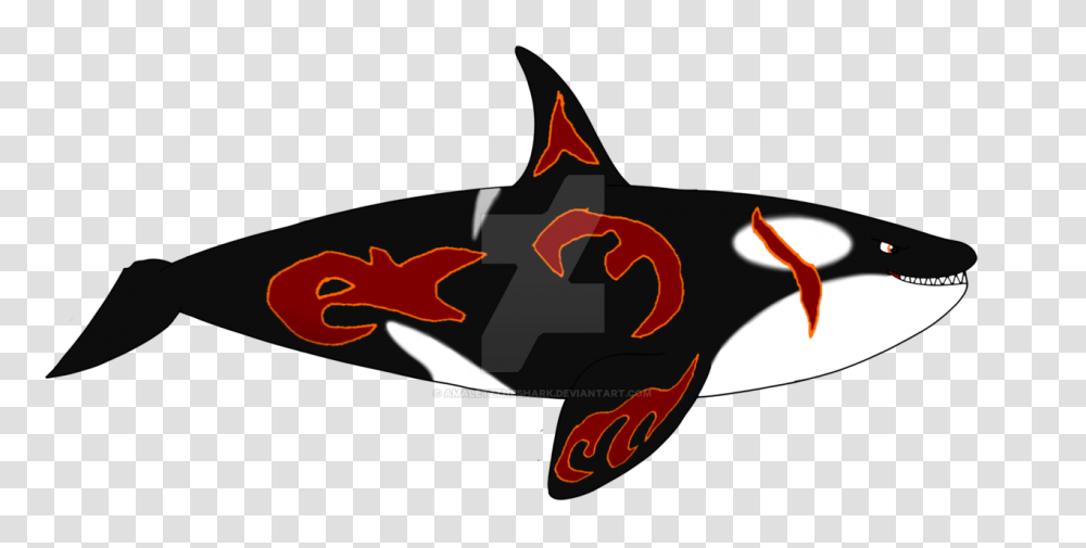 Destiny Sharks Characters Kyle Wales, Animal, Logo Transparent Png