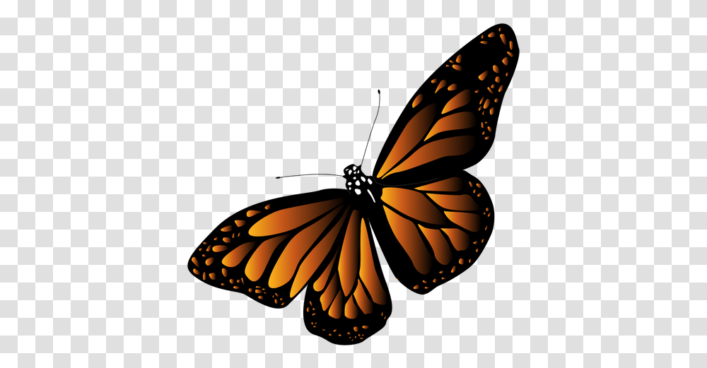 Detailed Black Orange Butterfly Vector Orange Black Butterfly, Insect, Invertebrate, Animal, Monarch Transparent Png