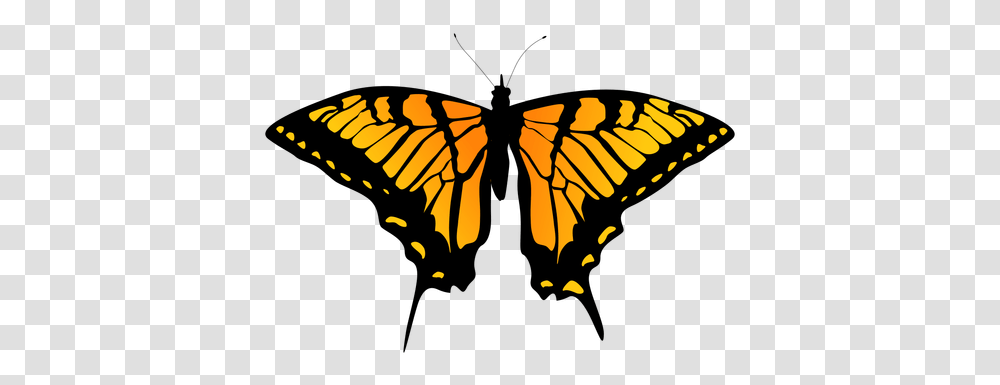 Detailed Orange Butterfly Design & Svg Butterfly Outline Design, Insect, Invertebrate, Animal, Bonfire Transparent Png