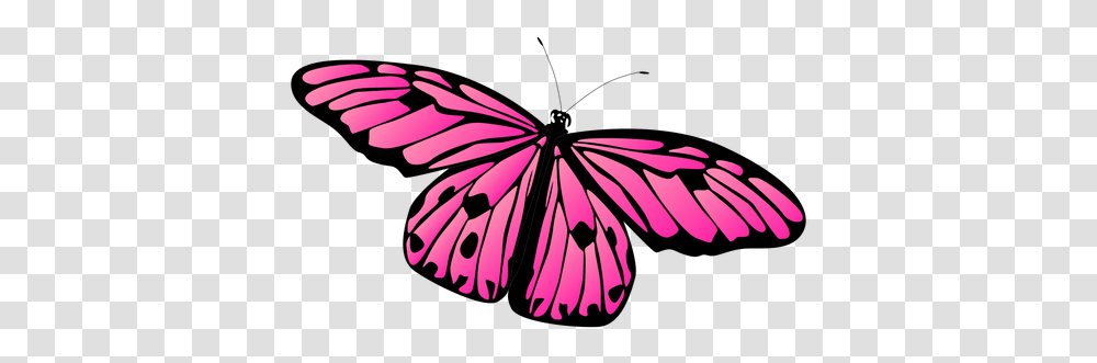 Detailed Pink Butterfly Vector Pink Butterfly, Insect, Invertebrate, Animal, Path Transparent Png