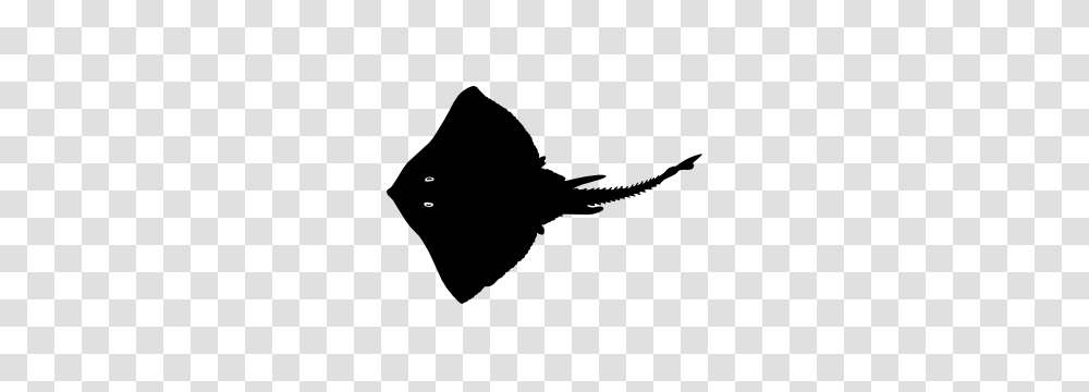 Detailed Stingray Manta Ray Sticker, Silhouette, Stencil, Animal, Fish Transparent Png