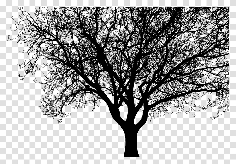 Detailed Tree Silhouette Clip Arts, Gray, World Of Warcraft Transparent Png