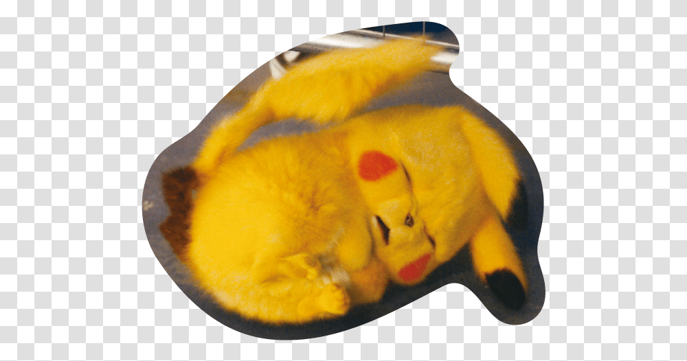 Detective Pikachu Stickers Whatsapp, Animal, Peel, Bird, Finger Transparent Png