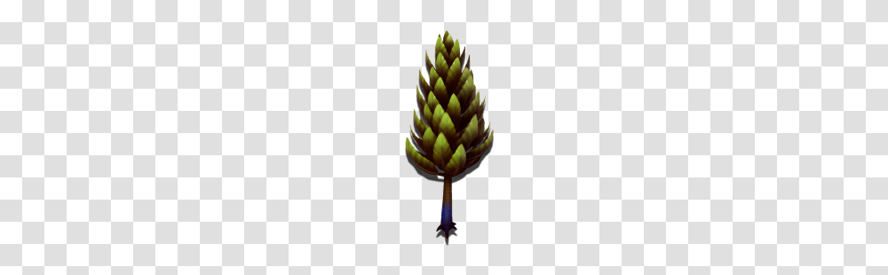 Development Update, Bud, Sprout, Flower, Plant Transparent Png