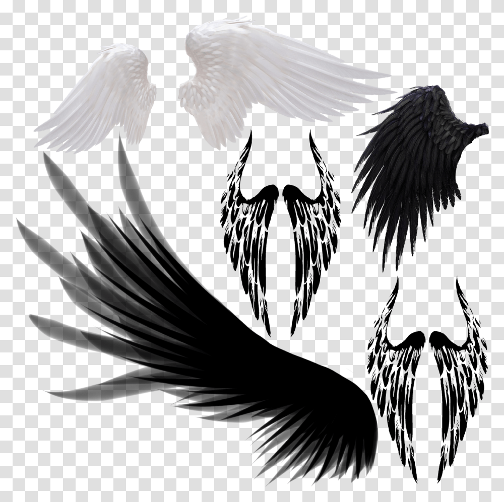 Devil Wings Bird Wings Background Wings, Art, Angel, Archangel, Animal Transparent Png