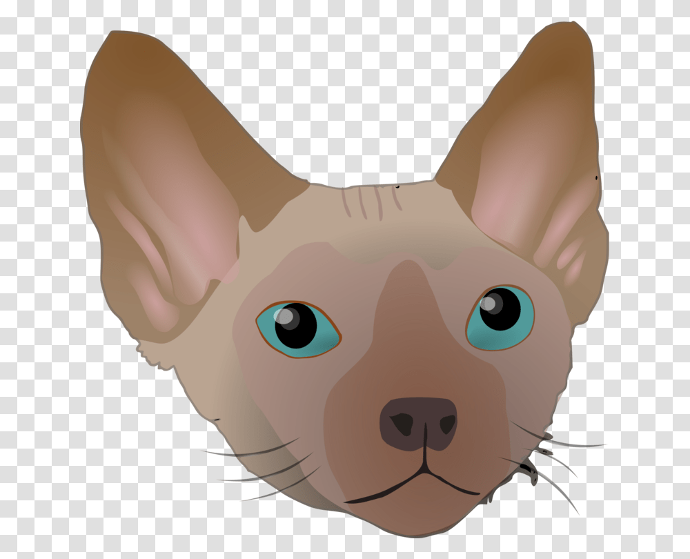 Devon Rex Whiskers Domestic Short Haired Cat Sphynx Cat Free, Mammal, Animal, Pet, Canine Transparent Png