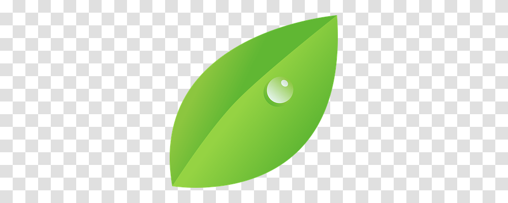 Dew Nature, Tennis Ball, Green, Leaf Transparent Png