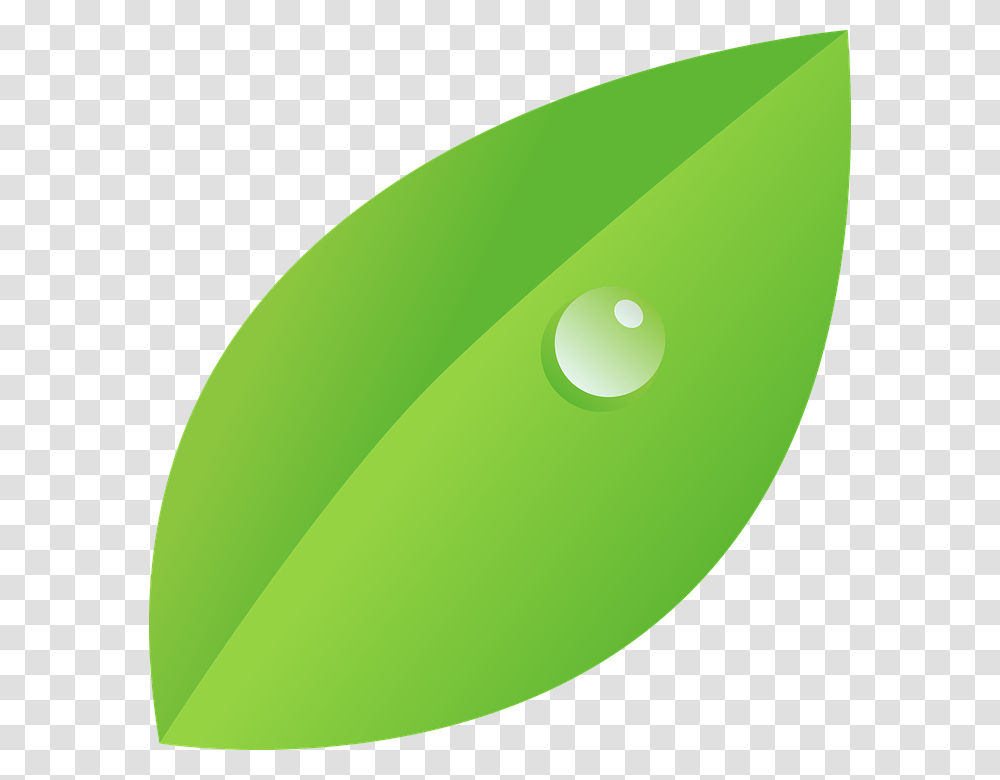 Dew Drop Clipart Clip Art, Green, Leaf, Plant, Tennis Ball Transparent Png