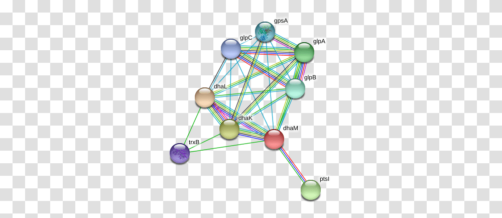 Dham Protein Circle, Network, Sphere, Outer Space, Astronomy Transparent Png