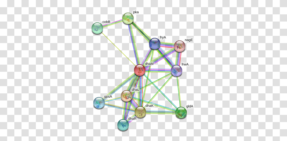 Dham Protein Circle, Network, Sphere Transparent Png