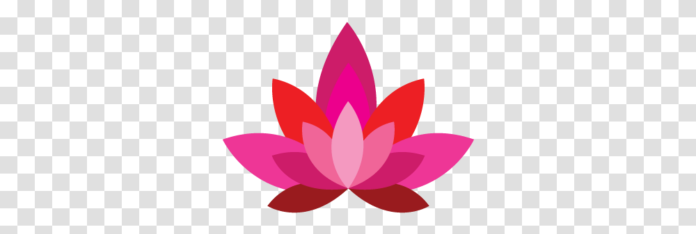Dharma Acupuncture About Nymphaea Nelumbo, Plant, Flower, Blossom, Pond Lily Transparent Png