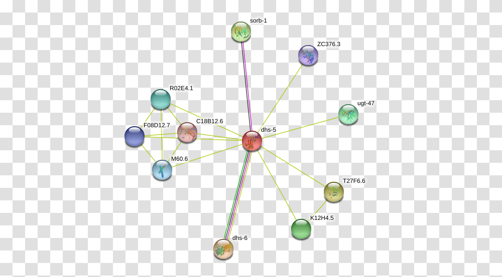 Dhs 5 Protein, Network, Diagram, Building, Architecture Transparent Png