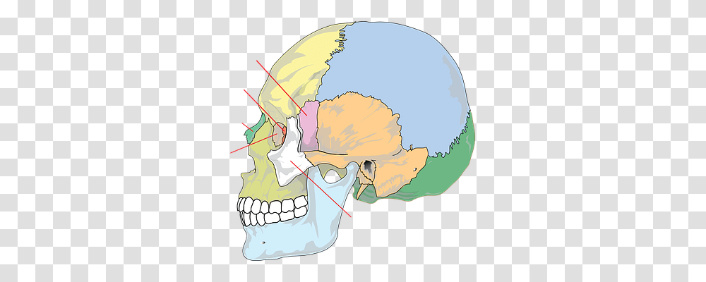 Diagram Technology, Plot, Jaw, Astronomy Transparent Png