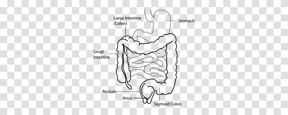 Diagram Shower Faucet, Hook, Hanger Transparent Png