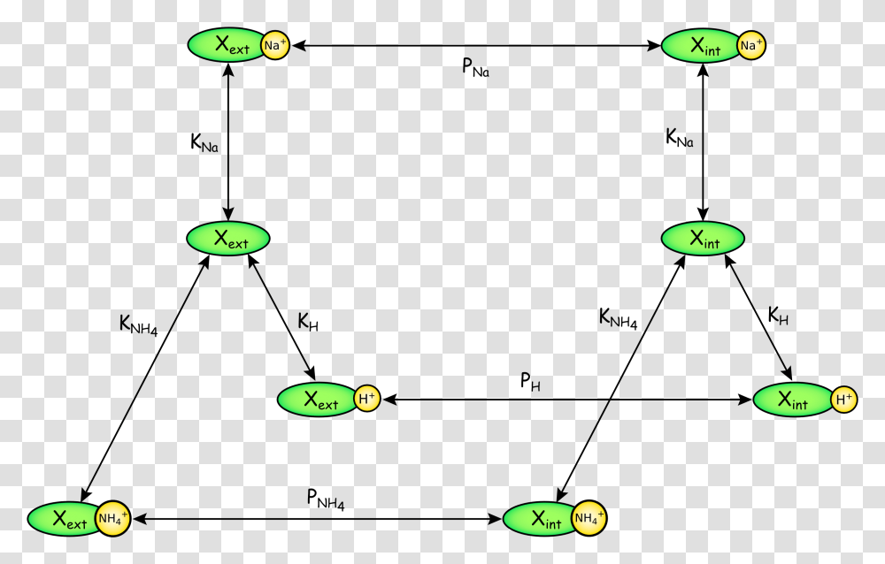 Diagram, Angry Birds, Moon, Outer Space, Night Transparent Png