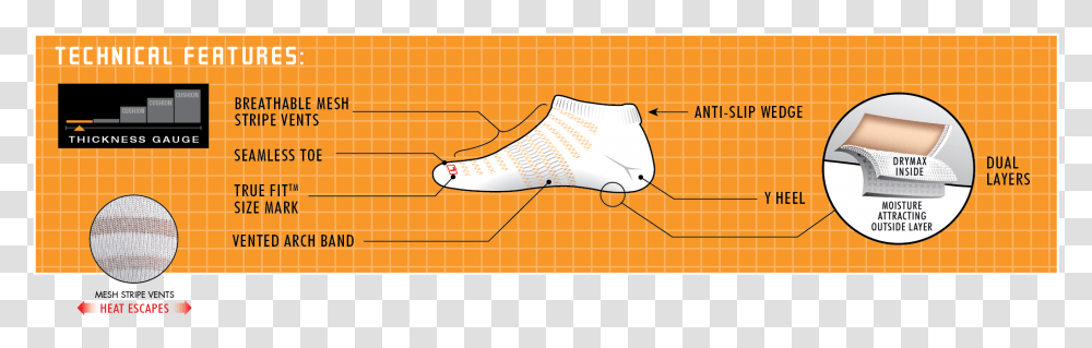 Diagram, Fish, Animal, Apparel Transparent Png