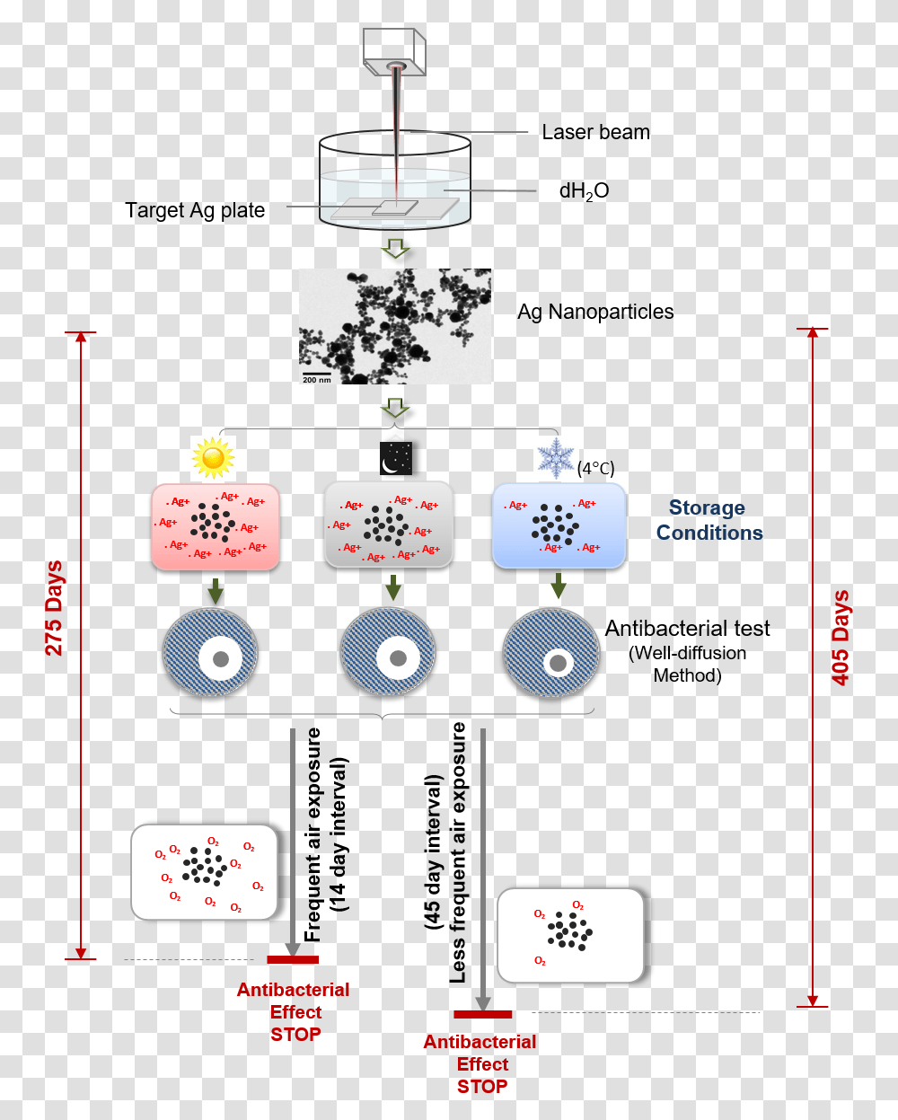 Diagram, Game, Gambling, Plan Transparent Png