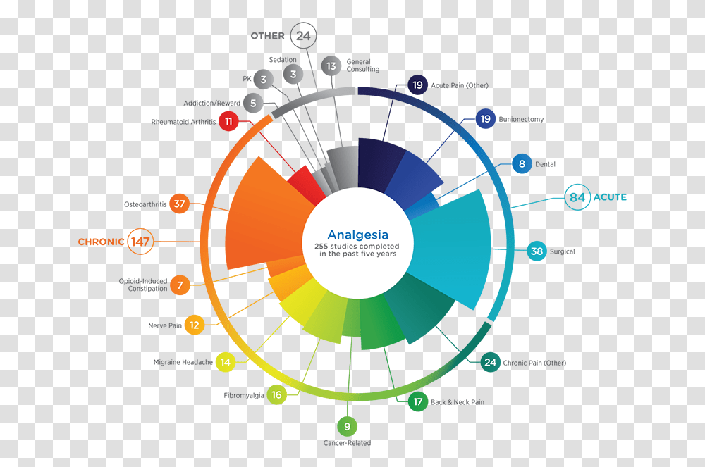 Diagram, Gauge, Tachometer, Plot Transparent Png