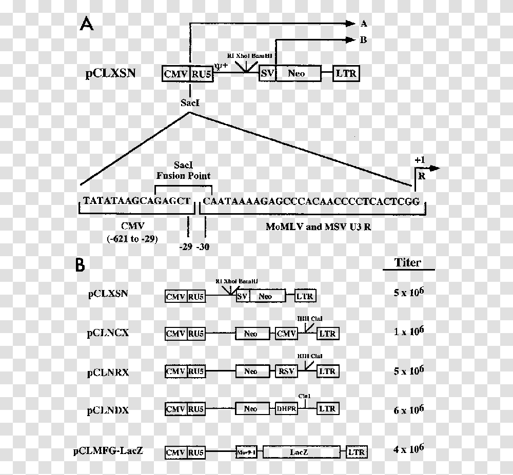 Diagram, Gray, World Of Warcraft Transparent Png