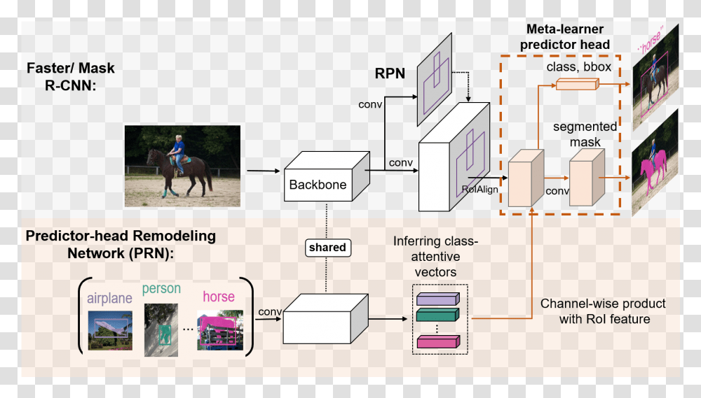 Diagram, Horse, Mammal, Animal, Person Transparent Png