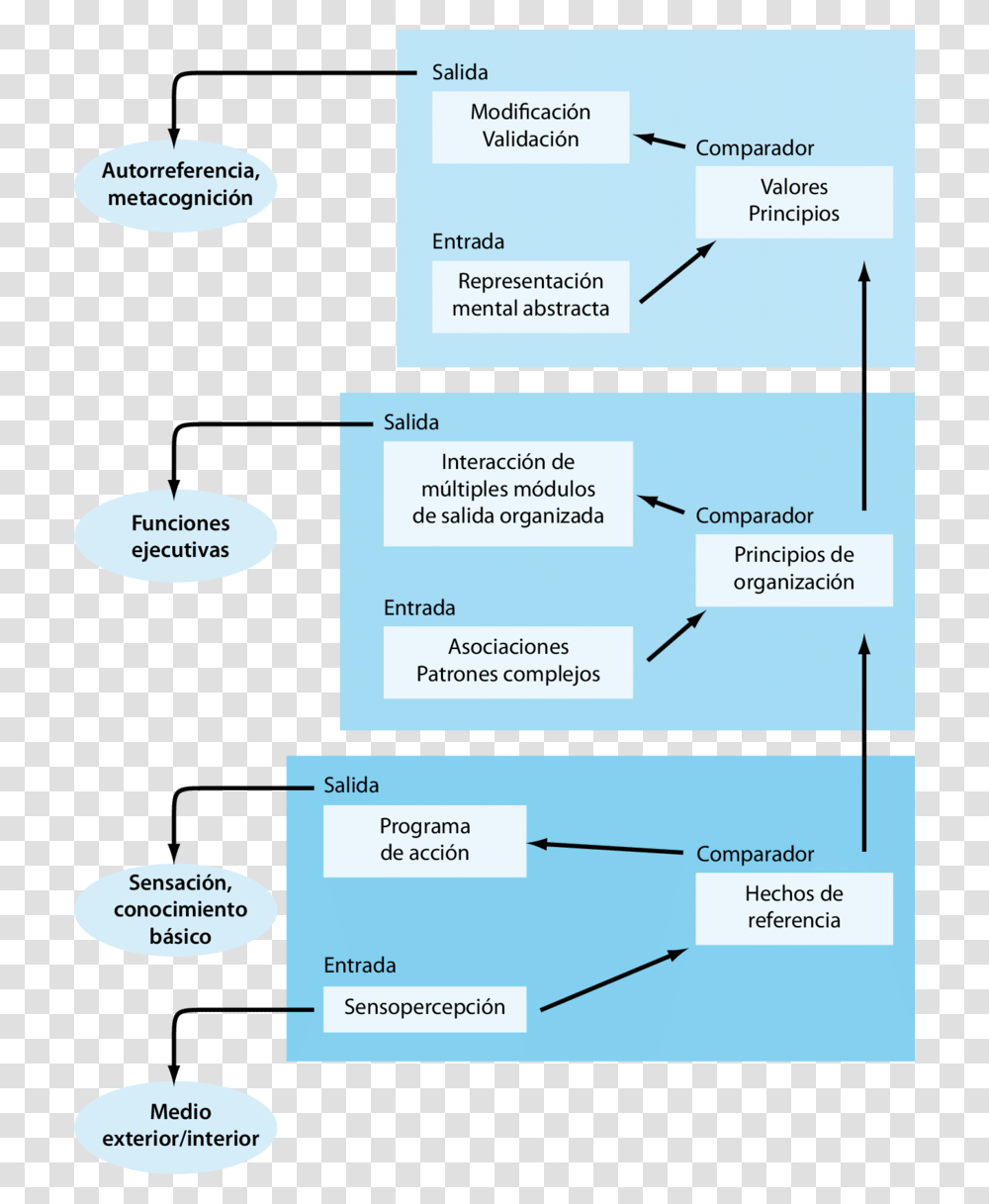 Diagram, Label, Nature, Outdoors Transparent Png