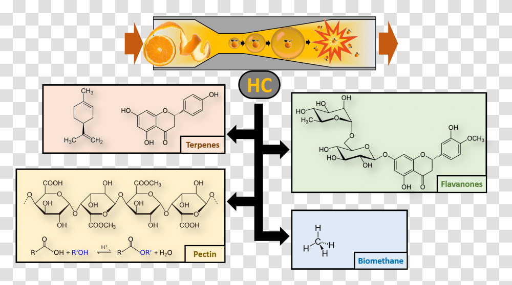 Diagram, Label, Plot, Plan Transparent Png