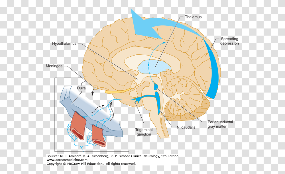 Diagram, Map, Plot, Atlas Transparent Png