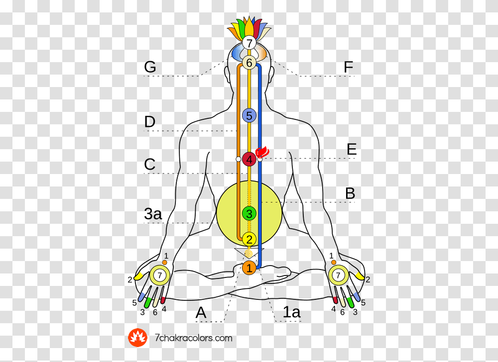 Diagram Of Ida Pingala And Shushumna Channels Energy Flow Map In Human Body, Angry Birds, Pac Man, Pattern Transparent Png