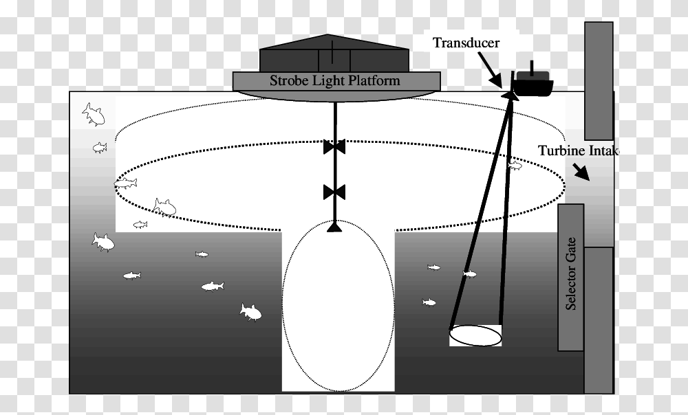 Diagram Of Strobe Light And Hydroacoustic Equipment Setup Vertical, Plot, Text, Plan, Measurements Transparent Png